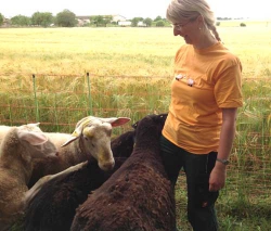 Schfidylle in Thüringen - Ellen Martin